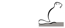 Kiwa gecertificeerd